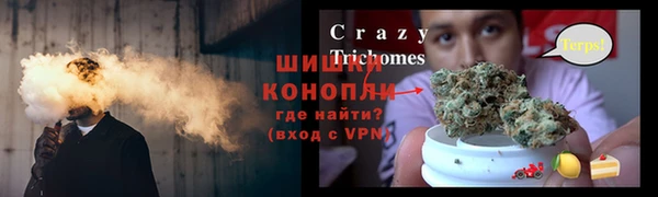 гидра Аркадак