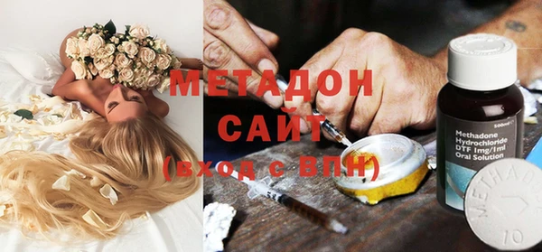 индика Гусев