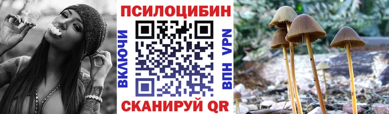 кракен как войти продажа наркотиков Соль-Илецк Галлюциногенные грибы мухоморы